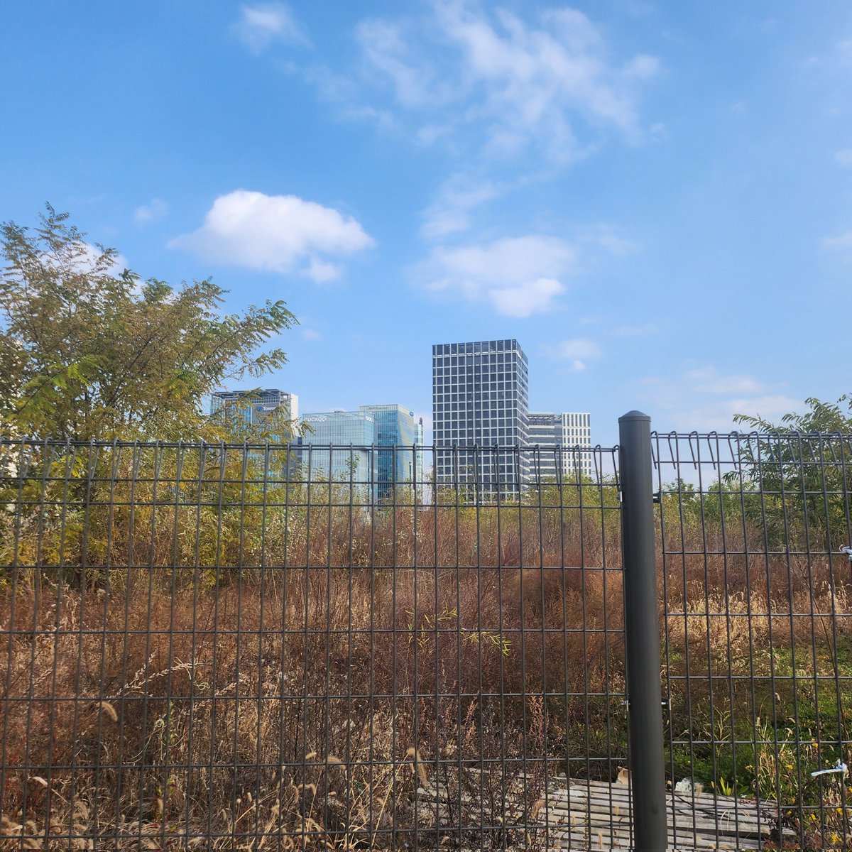 sso_ILskz's tweet image. ㅈㄴ 그냥 팬이 호구 같지? 신사옥 땅에 암것도 없드만 여러분 이게 지금 신사옥부지 상태입니다