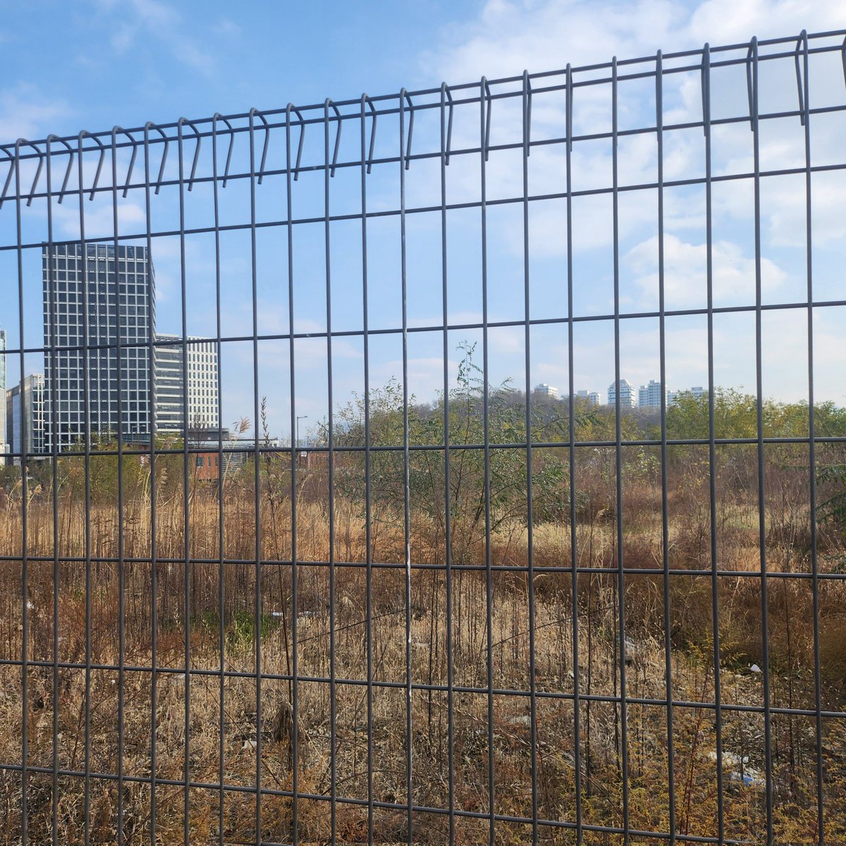 sso_ILskz's tweet image. ㅈㄴ 그냥 팬이 호구 같지? 신사옥 땅에 암것도 없드만 여러분 이게 지금 신사옥부지 상태입니다