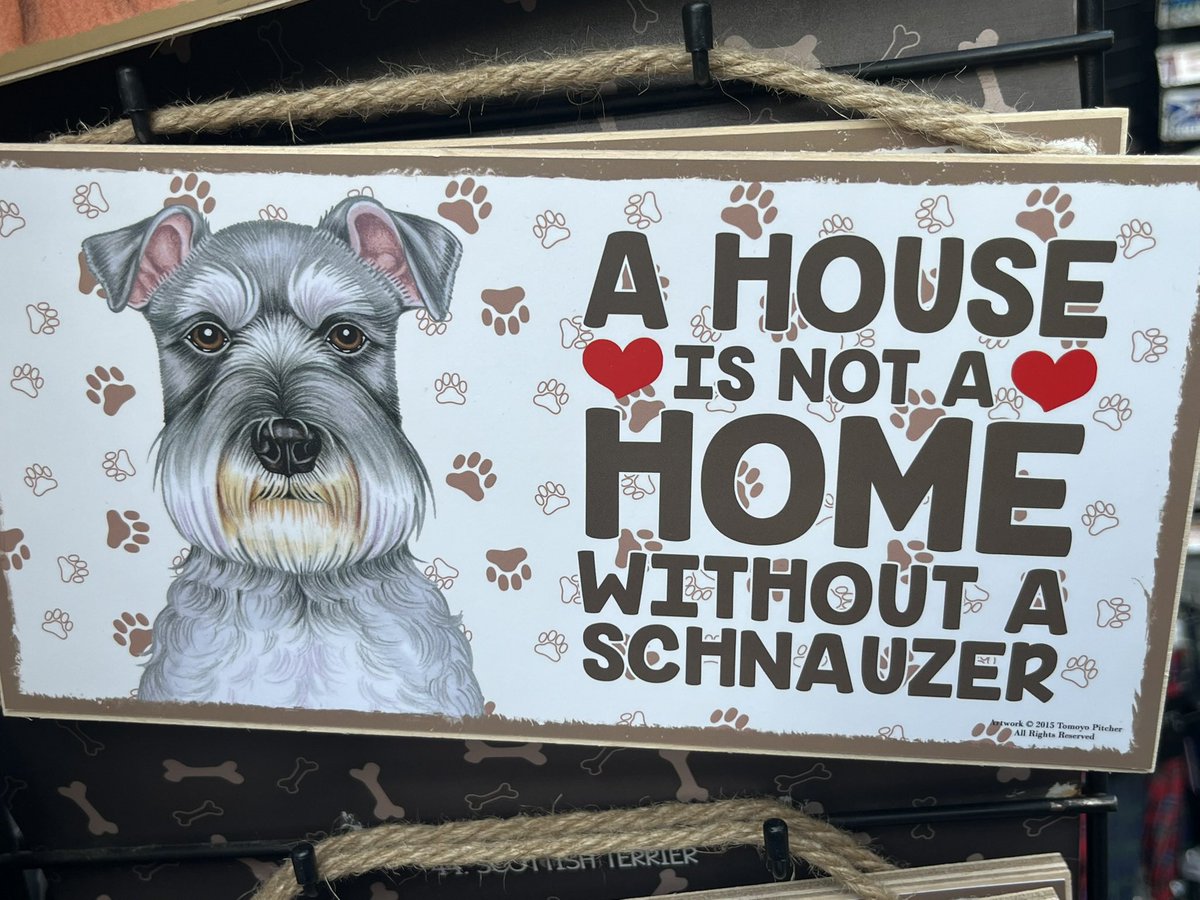 Paul Reihill tweet media