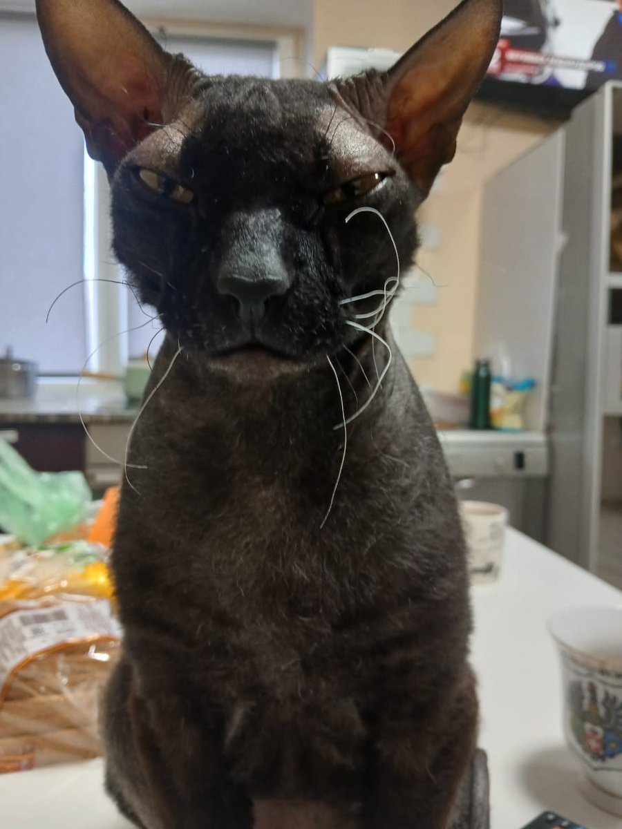 ransomboris tweet media