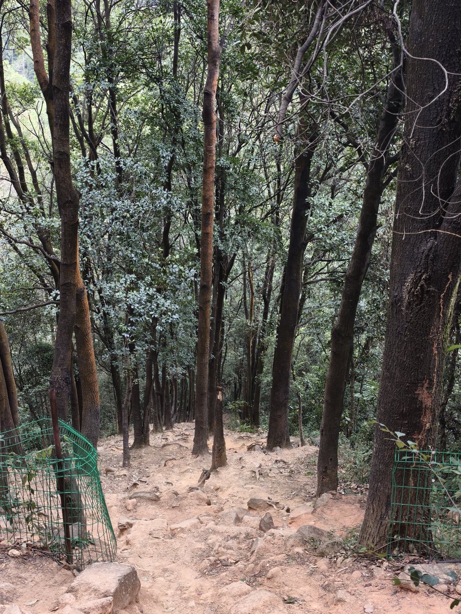 双拼推友 tweet media