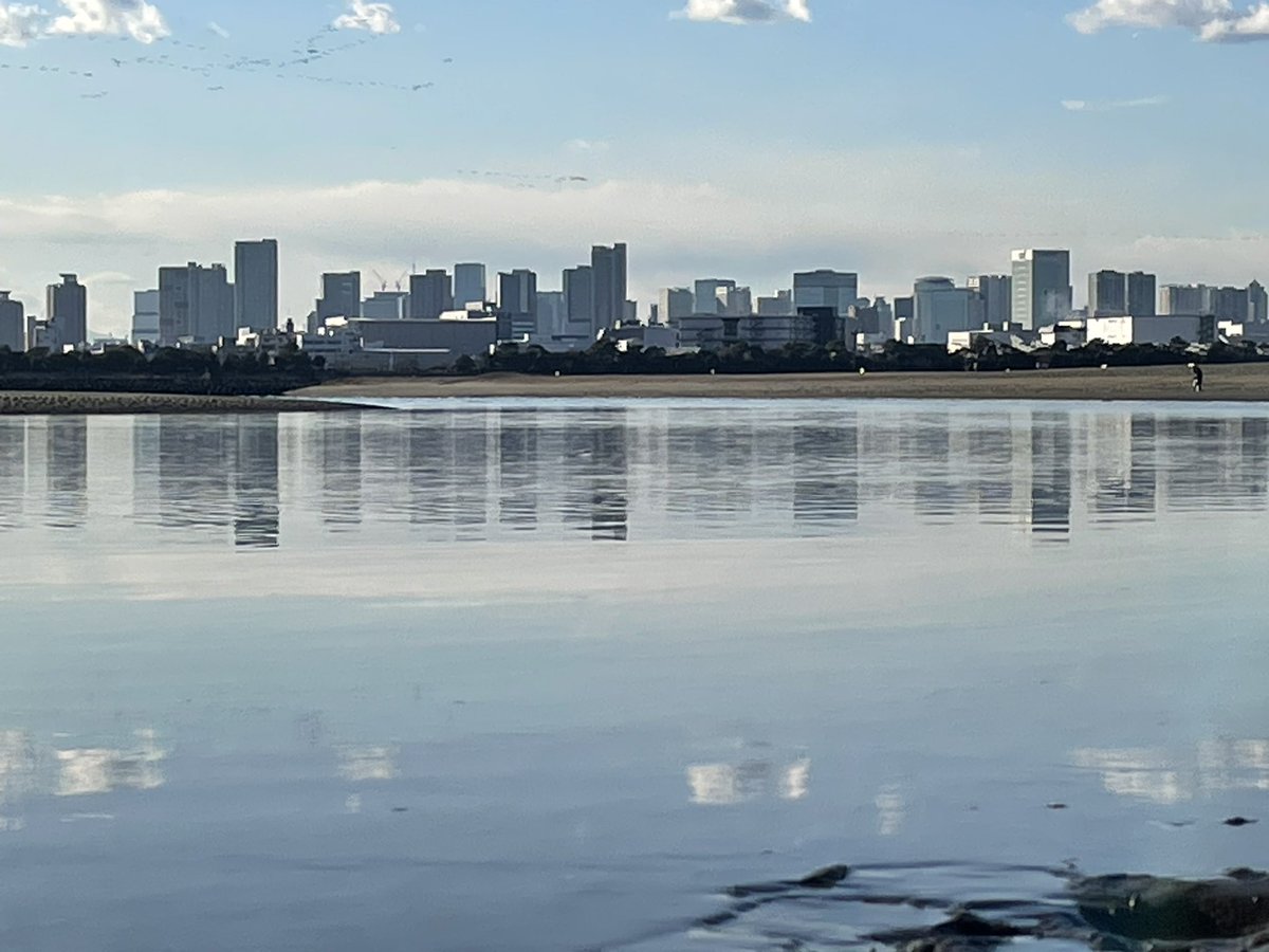 fwnb6071's tweet photo. 海🌊に浮かぶ大都会
と、鳥🦆の足跡。。。
#大都会 
#海に浮かぶ 
#鳥 
#足跡 
#あしあと 
#鳥の足跡 
#鳥のあしあと https://t.co/XZiUZDQZ3q