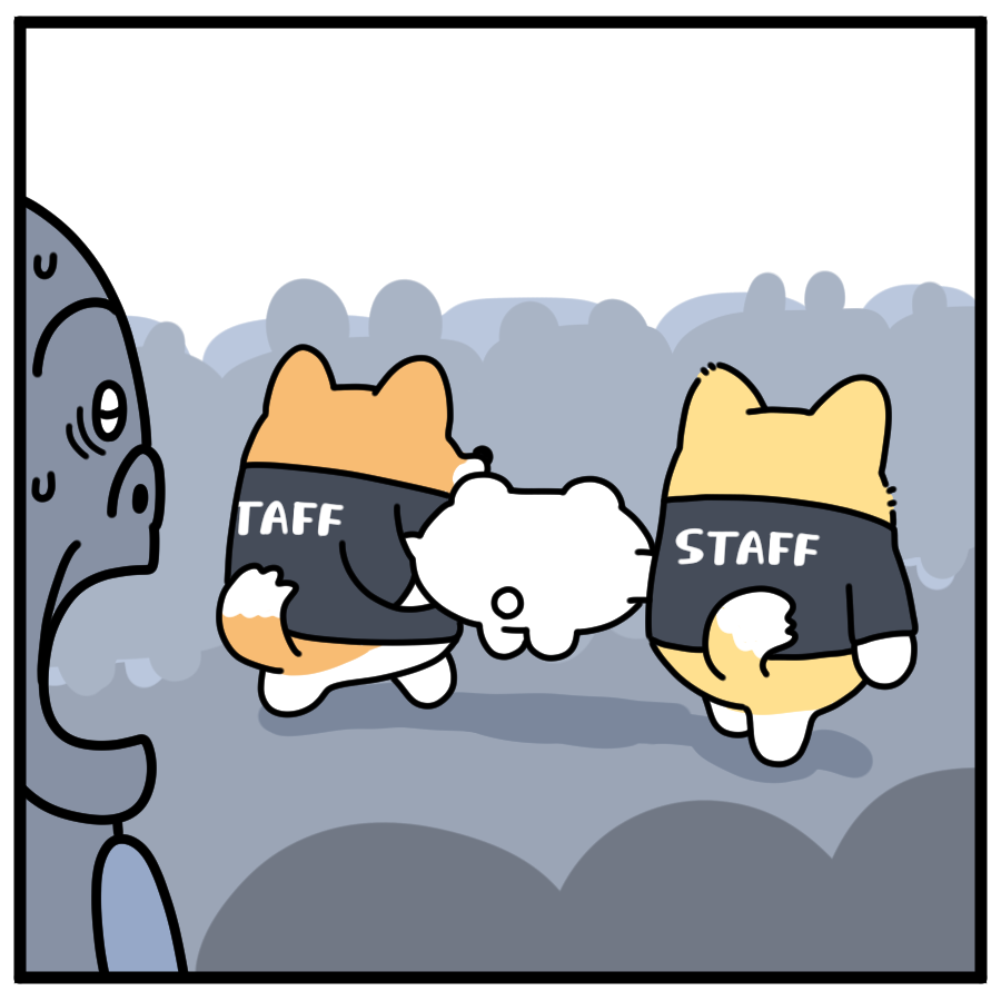 くまざわ tweet media