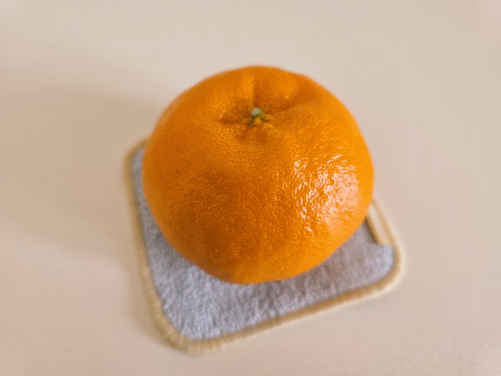 만두같이 생겼는데 이름은 윈터프린스야ㅋㅋㅋㅋㅋ 올 겨울에 먹은 귤 중에 젤 맛있음...제대로 새콤달콤🍊