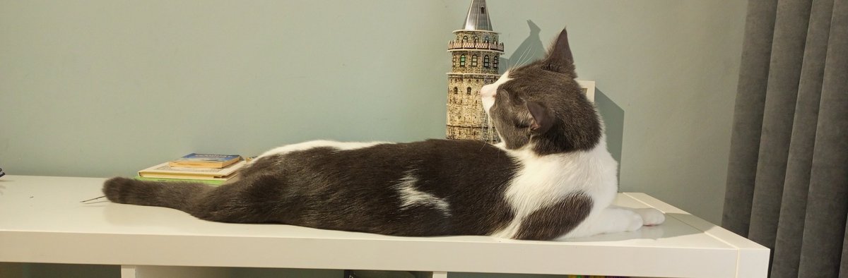 Çocuklar uyuyo ve ev de deli daha gibi koşturuyor. Hol de ki tüm halılar yer değiştirmiş durumda. Güdümlü füze firlaticam az kaldı 🥿