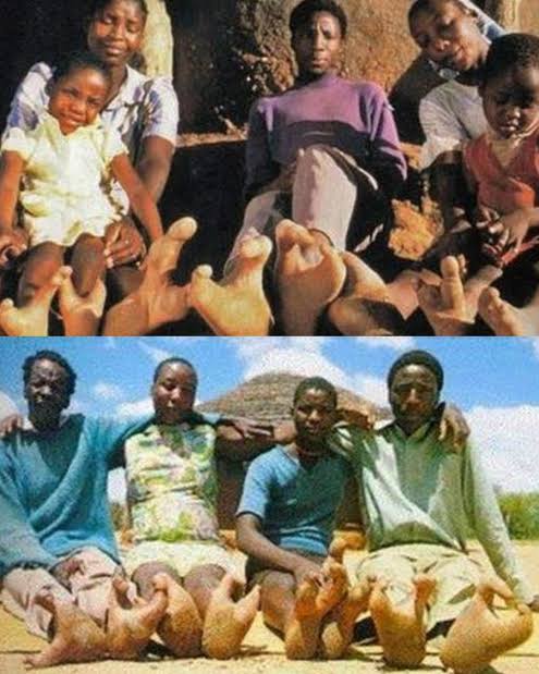 mosongo_'s tweet image. Today I have learnt of the Vadoma tribe of Zimbabwe. White people call them ostrich footed people. This tribe is a direct descendant of the star beings. 
We learn new things everyday.