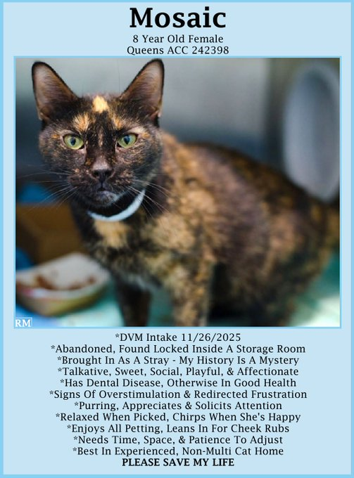 Renee' Martin tweet media