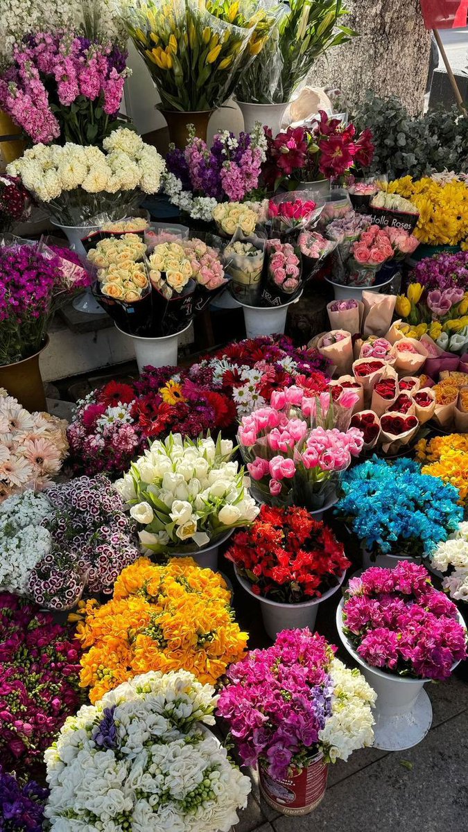 bloomifyyy's tweet photo. https://t.co/OYPbRQhrzL