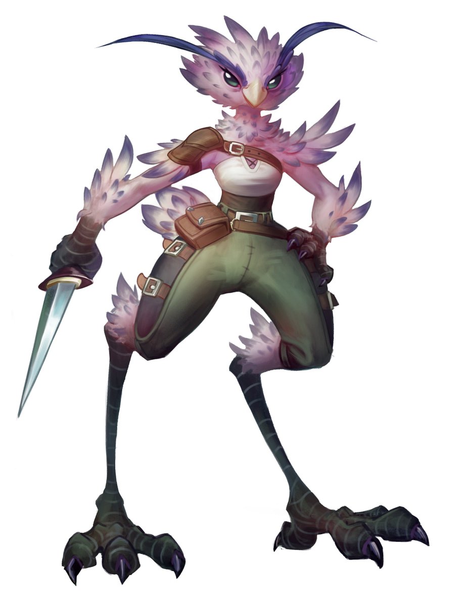DmitryK_art's tweet photo. Here’s a bird adventurer I drew pretty quickly. I wouldn’t say I like everything. I might redo it someday. https://t.co/LdEO36FGNo