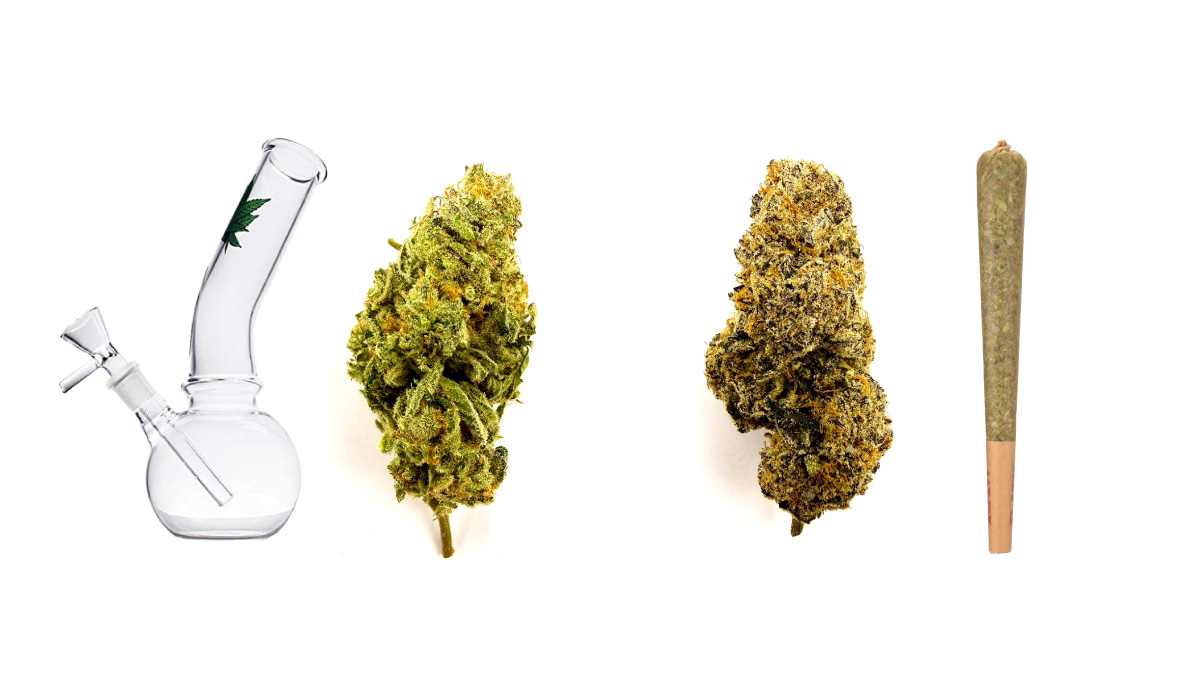 なぜ吸い方で、おすすめ品種が変わるの？

理由は単純で、燃焼温度とテルペンの分子特性が違うから。

🔹ジョイント向き：Mimozz

低温で立ち上がるテルペンが主体。
甘く軽いトップが強いため、ゆっくり燃えるジョイントでは、ピーチやキャンディの輪郭が最後まで残る。