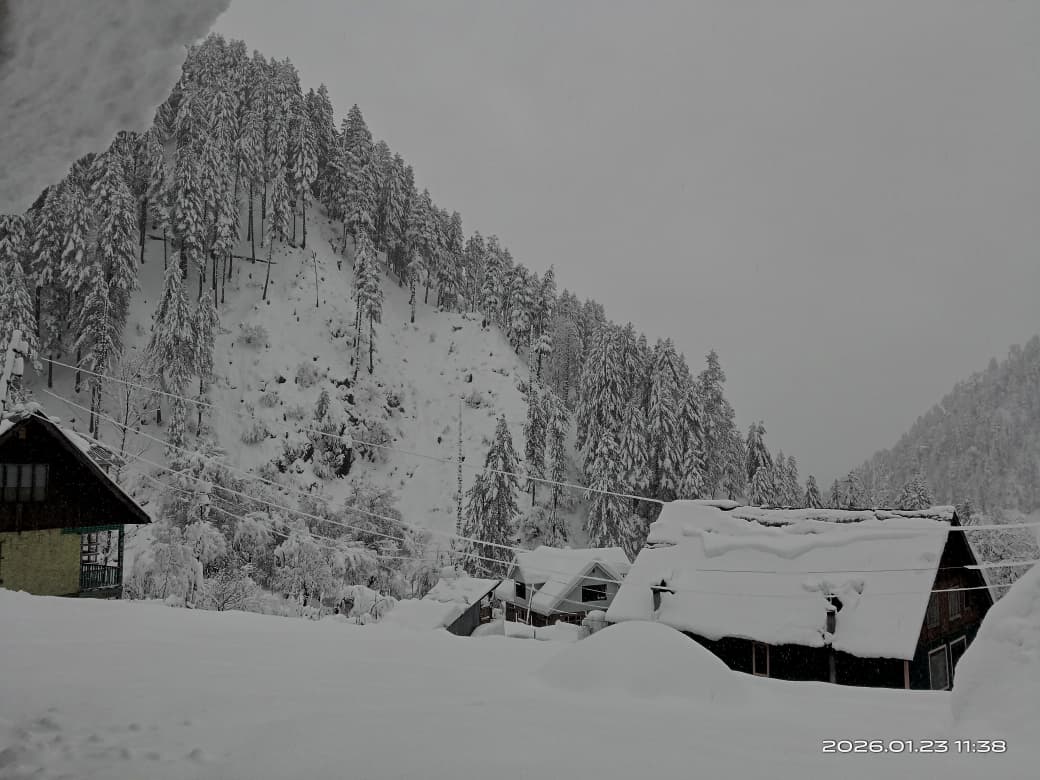 FarhanListen's tweet photo. Snowfall blessing Babagail village ❄️ A winter wonderland in Kashmir.
Limber wildlife sanctuary 
@JandKTourism 
@DCBaramulla 
@mingasherpa 
@KashmirWeather2 
@KashmirLife https://t.co/gBoztWZuId