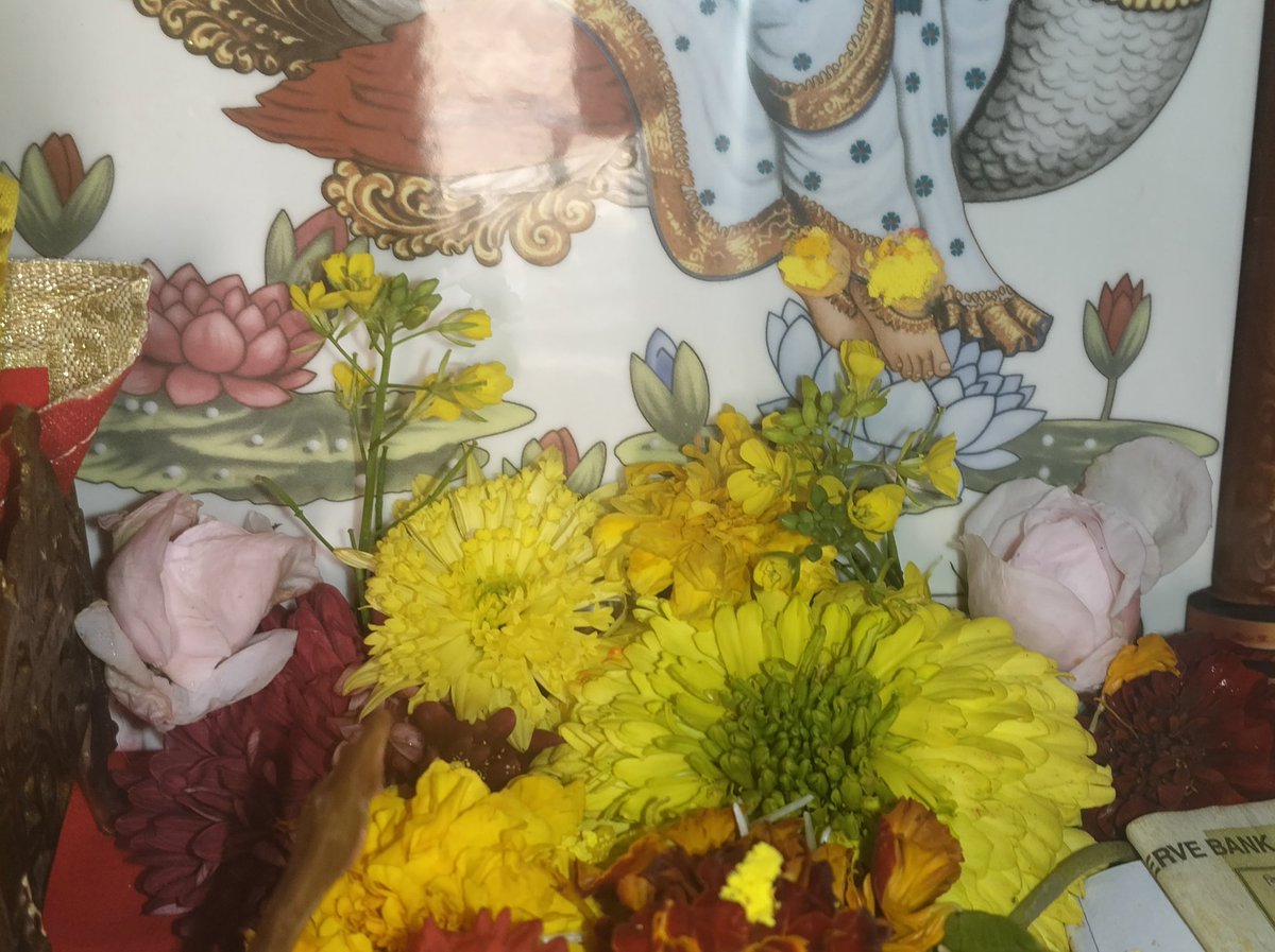 सरस्वती त्वयं दृष्ट्या वीणापुस्तकधारिणीम्। हंसवाहसमायुक्तां विद्यादानकरीं मम।।

बसंत पञ्चमी🌻