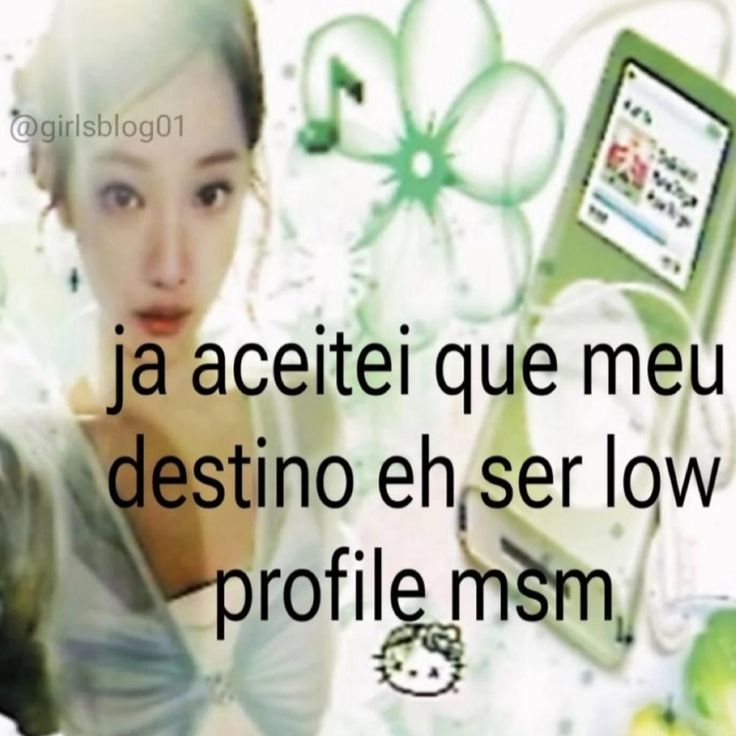 perfil dedicado a gatinhos e peitos (@odeiootaco) on Twitter photo 