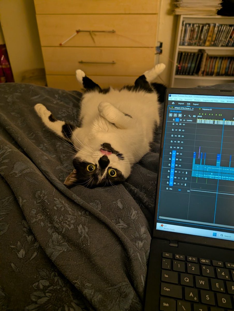 ShadowBullets24's tweet image. There's always one coworker trying to put you off from working 🤣