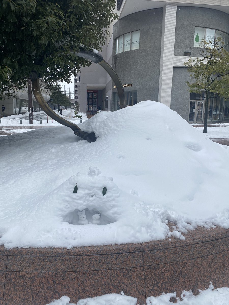 やかん、
ほんとになくなってました！

で、やかんの前に、、
何かいる👀