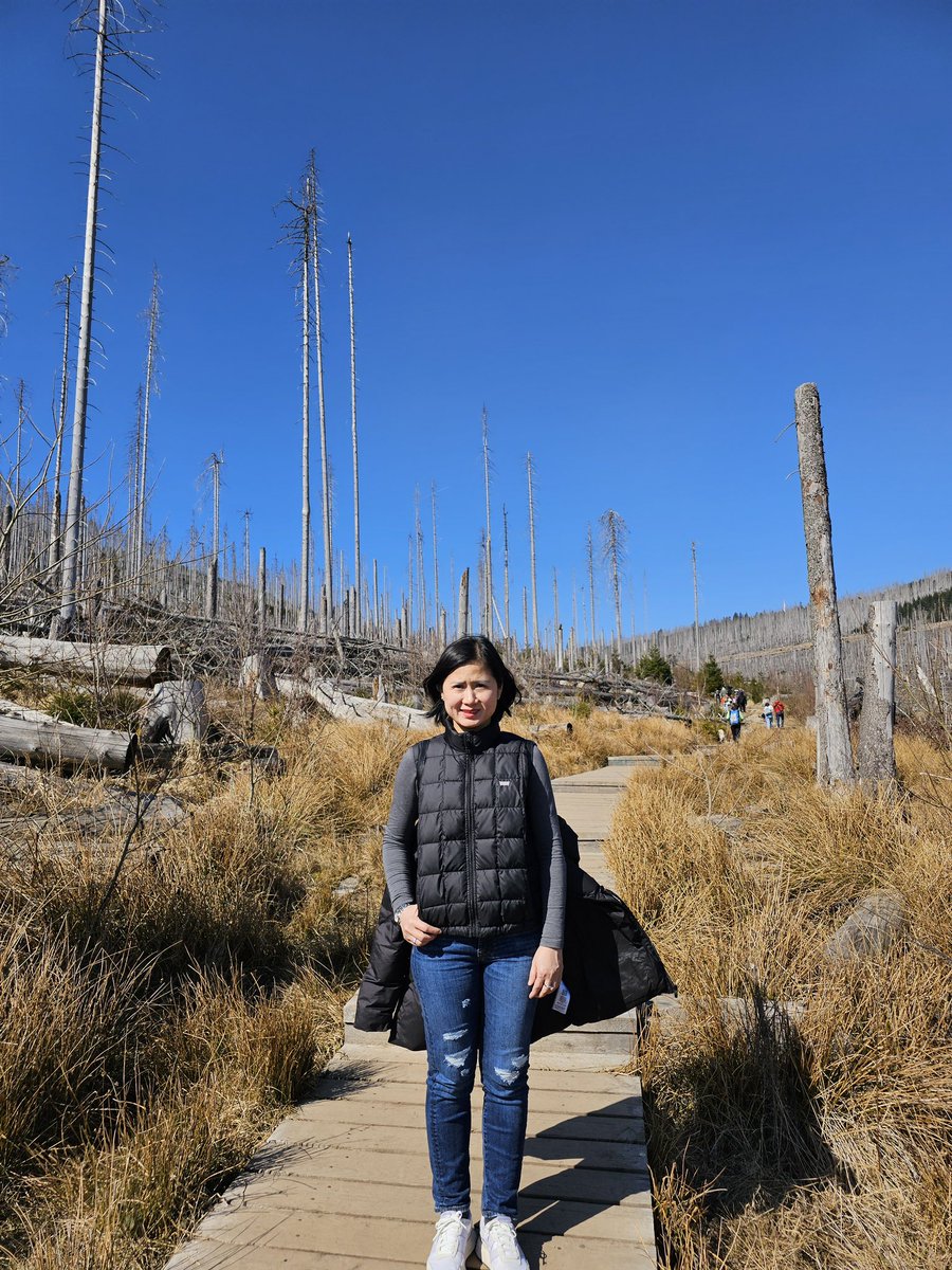 Dang Ngoc Nha | Nancy tweet media