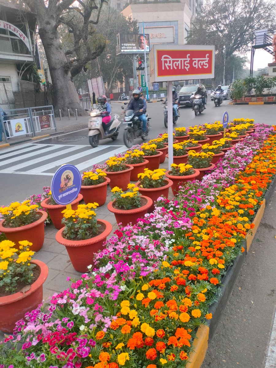 PMC Care tweet media