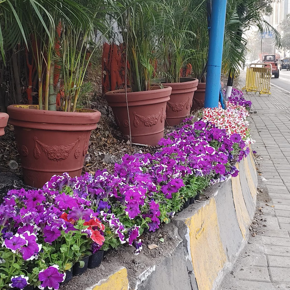 PMC Care tweet media