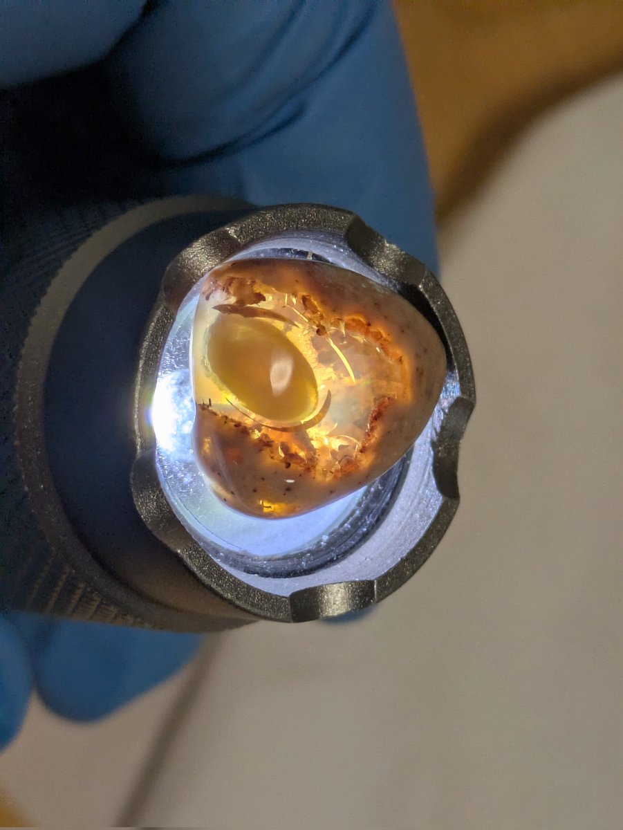 1213Mn's tweet photo. カンテラオパール Cantera Opal.Mexico
母岩付オパール,カンテラはスペイン語で「石切場，採石場」 https://t.co/UOdrphk68q