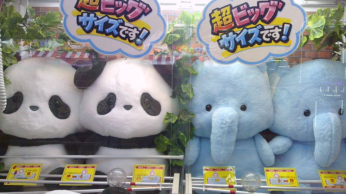 ✨景品入荷情報✨ べいびｰあにまるずぬいぐるみ超MEGA 一昨日より