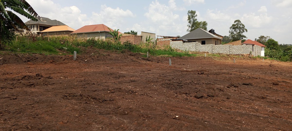ismael kalungi tweet media