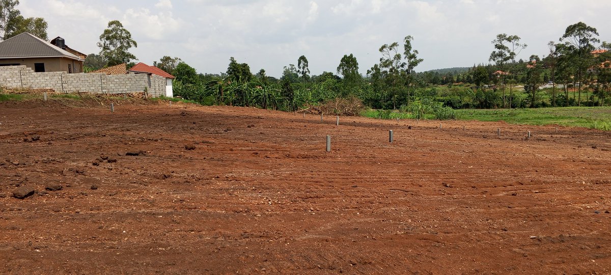 ismael kalungi tweet media