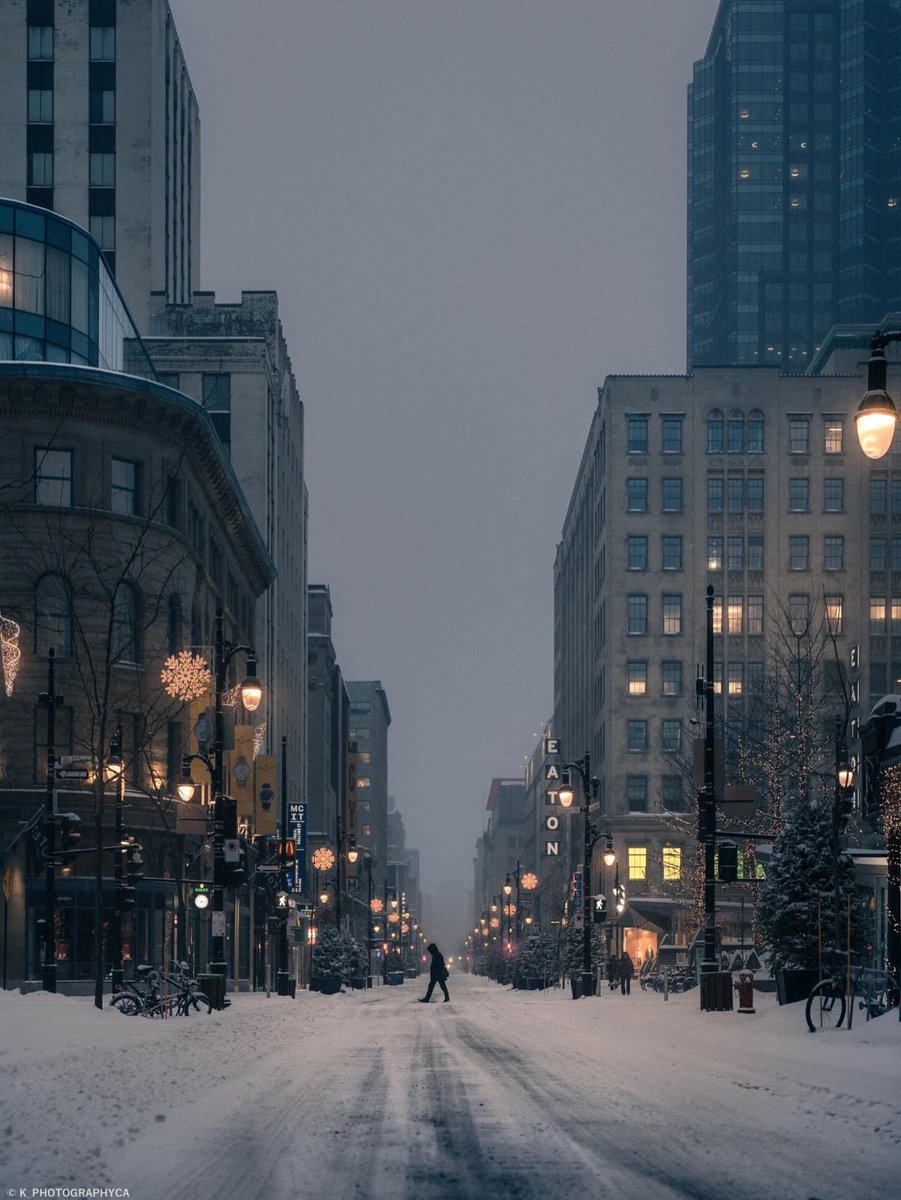 SeascapeNature's tweet image. Montreal, Quebec 🇨🇦