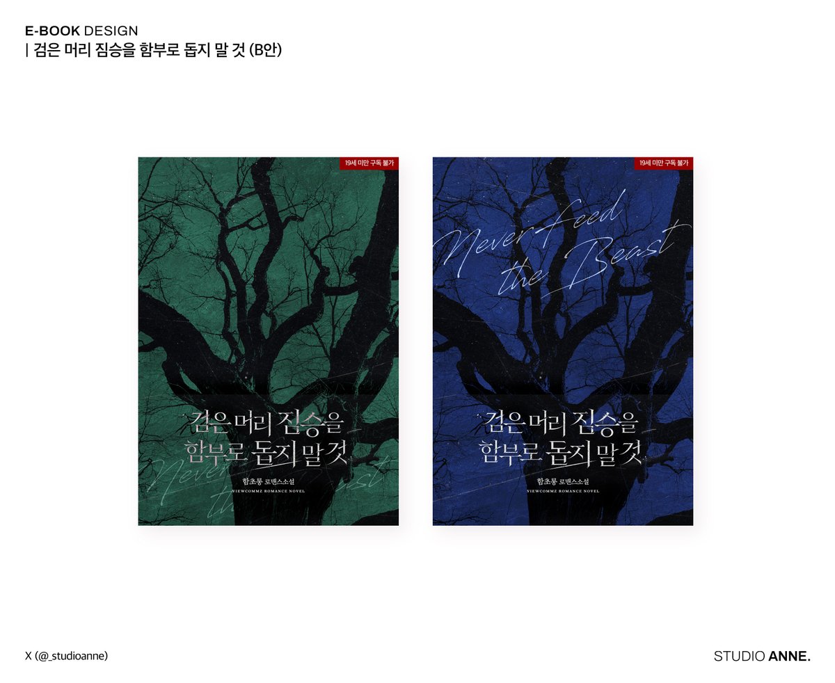 스튜디오 앤 tweet media