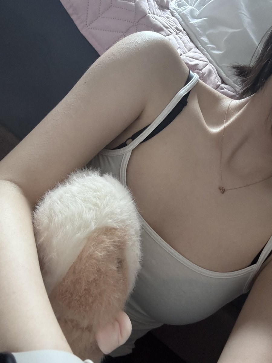 제 인형들을 소개합니다
#맘눌뎀 #일상 #펫