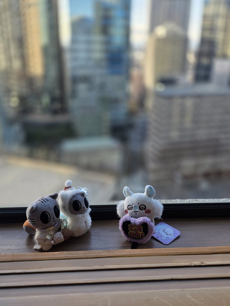 새 친구 성격이 조금..
그래도 친하게지내렴