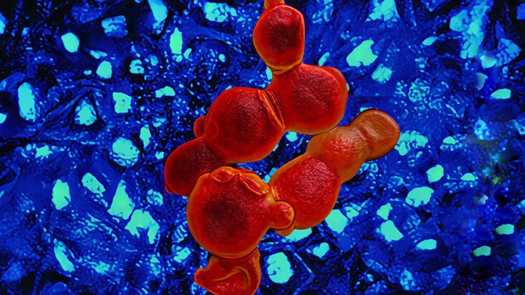 talius's tweet image. #Overlooked #molecule points to new #treatments for #drugresistant #fungal #infections 

Fungal infections kill millions of people each year. Rresearchers have found that butyrolactol A targets a deadly, disease-causing fungi Cryptococcus neoformans 
scitechupdates.com/overlooked-mol…