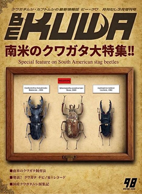 最新号!!「BE-KUWA NO.98」 入荷しました📖 ビークワ98号は『南米の