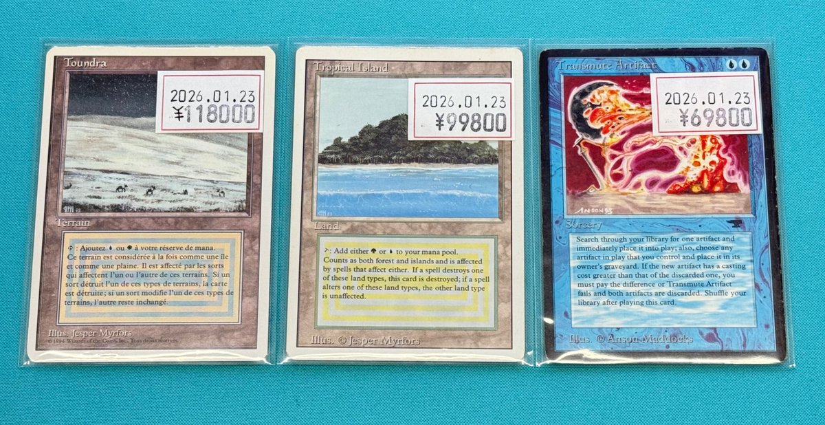 ✨🆕🔥高額🔥最新入荷情報🆕✨ 🔥《Tundra》仏語/NM