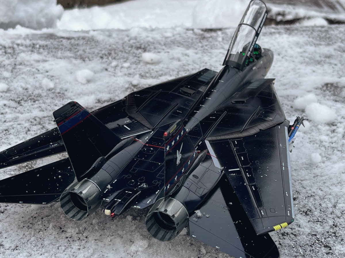 タミヤ 1/48 F-14Dトムキャット
完成しました。
1/72発売に合わせて作り始めましたが間に合ってよかったです（？）
AMKのスーパートムキャットとタミヤのA型も積んでるのでまた作れますね！

#タミヤ
#飛行機模型
#トムキャット
