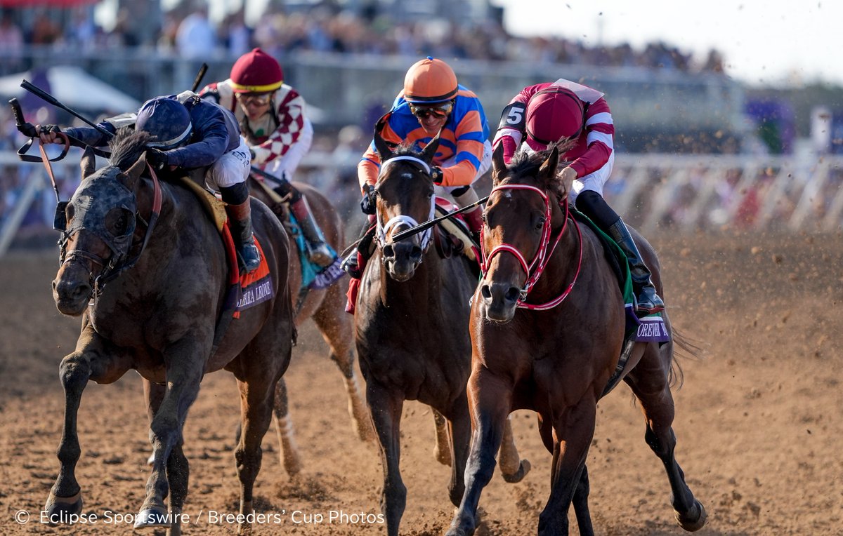 第55回エクリプス賞 受賞👑】 アメリカで開催された授賞式にて