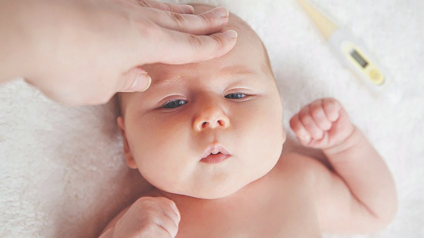 Bebeklerde şiddetli öksürük RSV habercisi olabilir
<a href="/SimgeKansu/">Simge Kansu</a> haberi
gazetekadikoy.com.tr/saglik/bebekle…