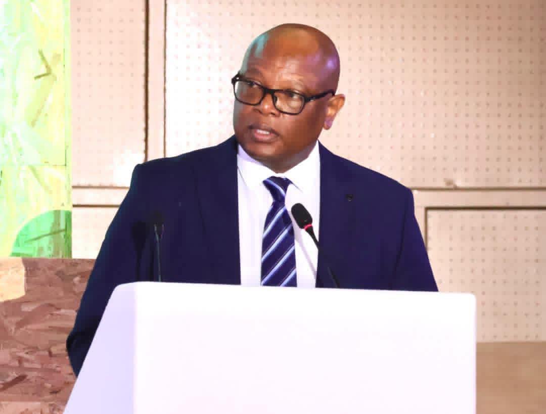 Sense of Africa Botswana tweet media