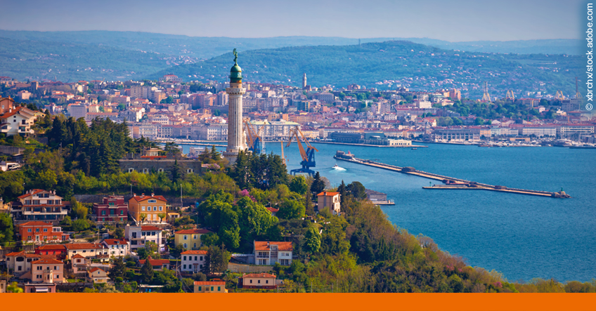 Anti-Piracy Analyst tweet media