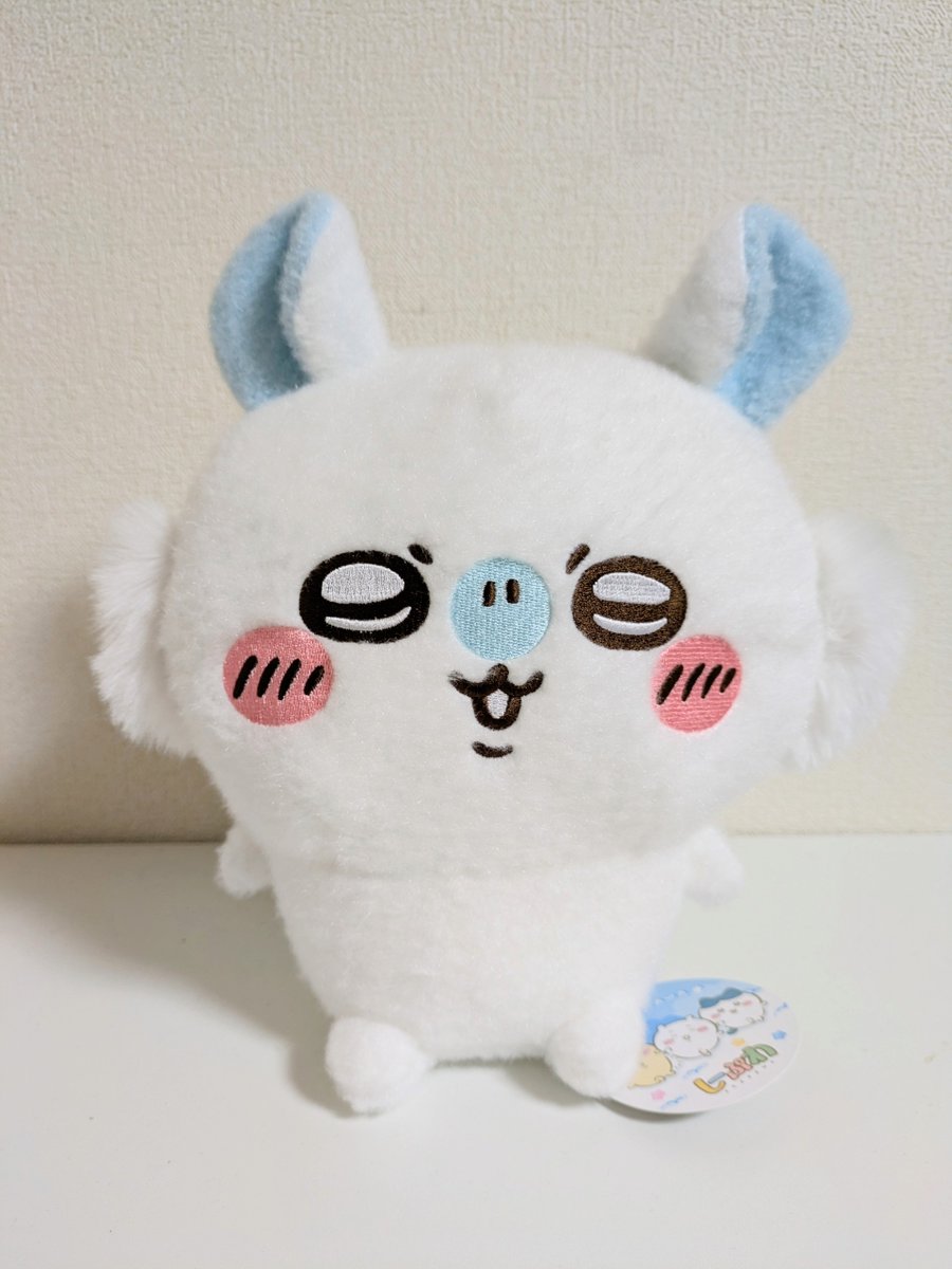sleep_syrup's tweet photo. まさかクレーンゲームで
取れると思わなかった。

ようこそ我が家へ。

#ちいかわしーぷわ
#モモンガ https://t.co/qgeAm4lPA7