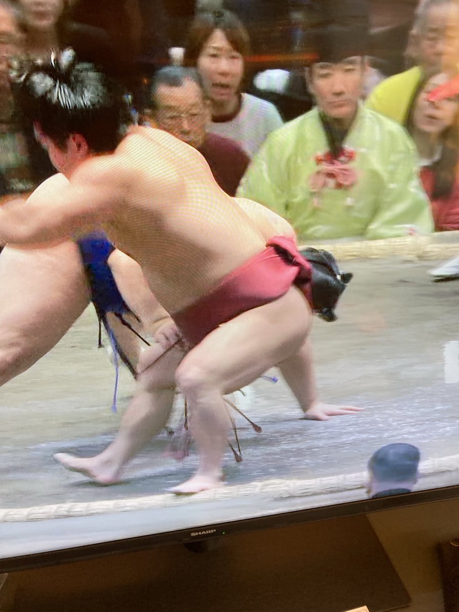 恐るべき筋肉隊長
朝紅龍勝ち越し🌟
おめでとうございます㊗️
#朝紅龍
#高砂部屋