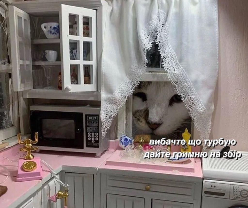 ранку
за першу добу накопичили 870₴, дякую вам дуже 🖤 
буду вдячний за поширення та гривні, якщо ще маєте :)

якщо ще маєте: send.monobank.ua/jar/6ZfzuishQd