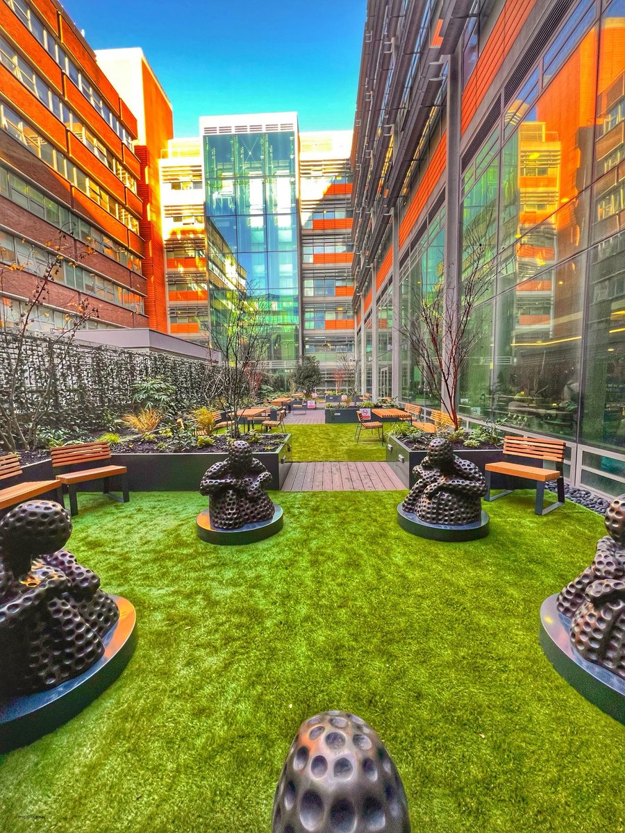 Dolores Heery tweet media