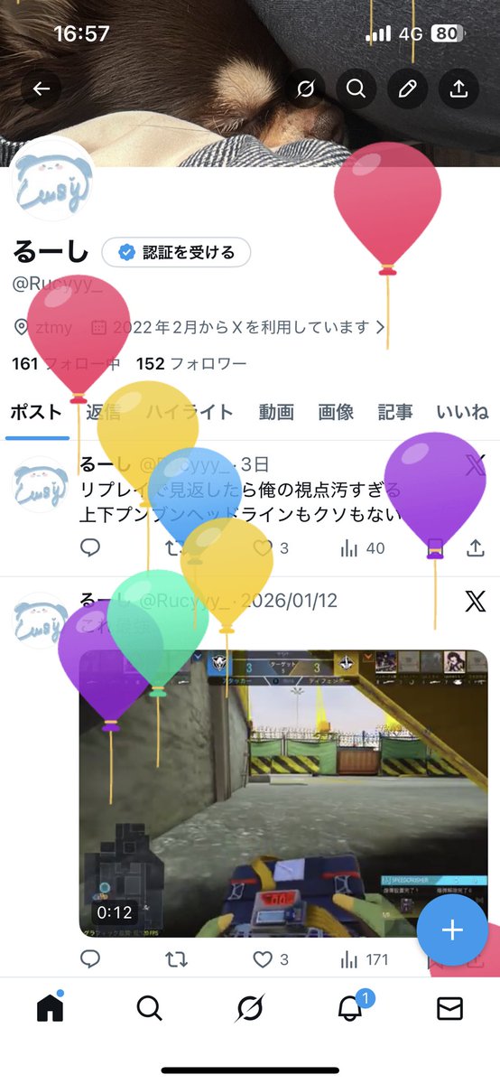 るーし tweet media