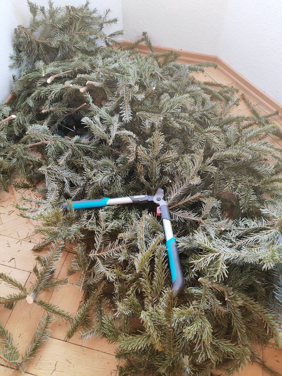 Husch! da fällt’s in Asche ab.