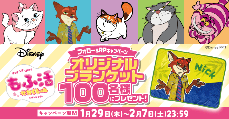 donki_donki's tweet photo. もふ活せれくしょん🐾
2/5オープン記念プレキャン✨

ドンキX限定！
抽選で100名様にその場で当たる🎯インスタントウィン🎁
あと5️⃣日！📢

▼参加方法
①@donki_donkiをフォロー
②この投稿をRP
🕑～2/7　※当選者のみDM送付

あなたの”推しもふ”教えてね🐾

🐈詳細はこちら▼