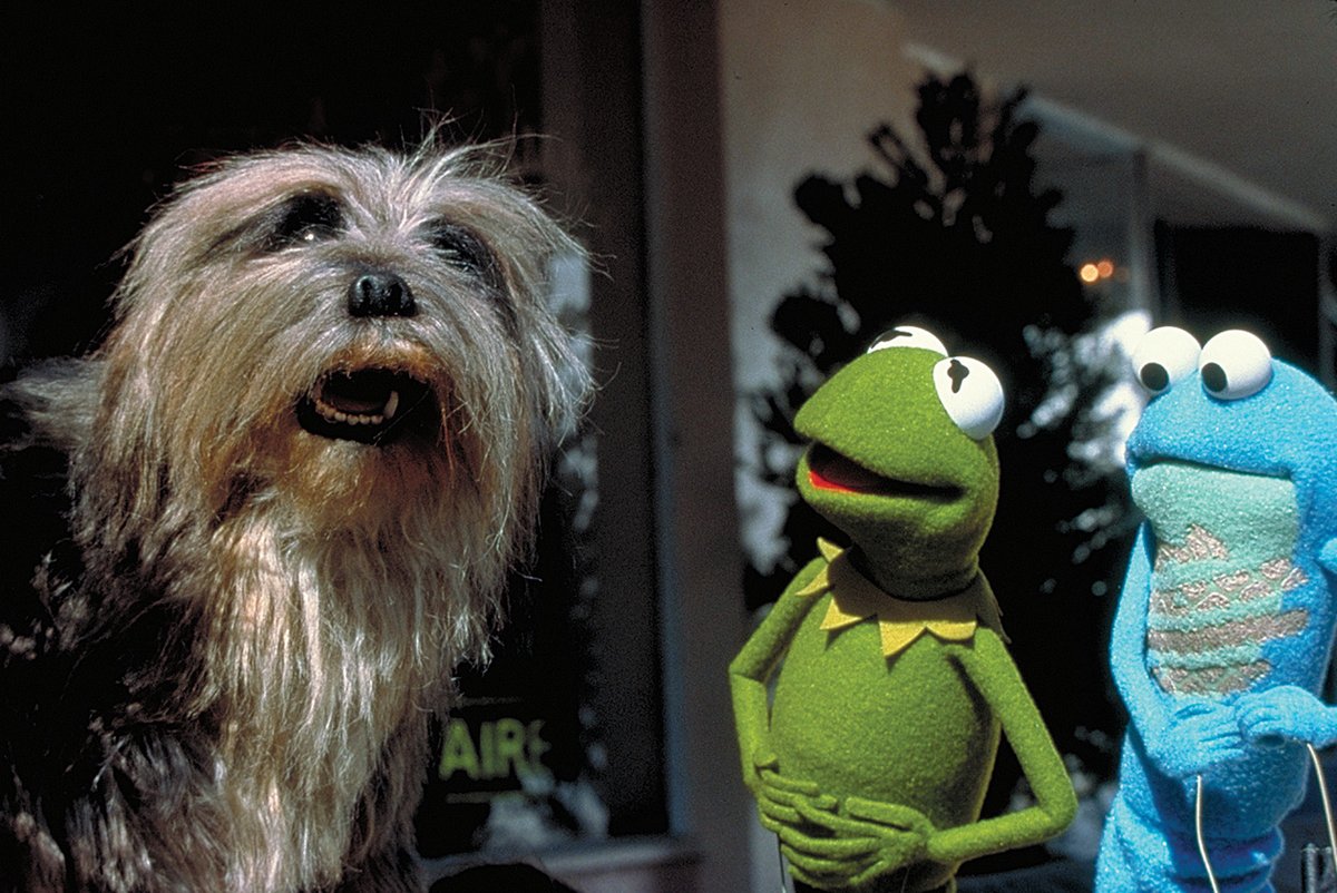 そろそろ帰って映画を観る時間だ…‼️

#カーミット