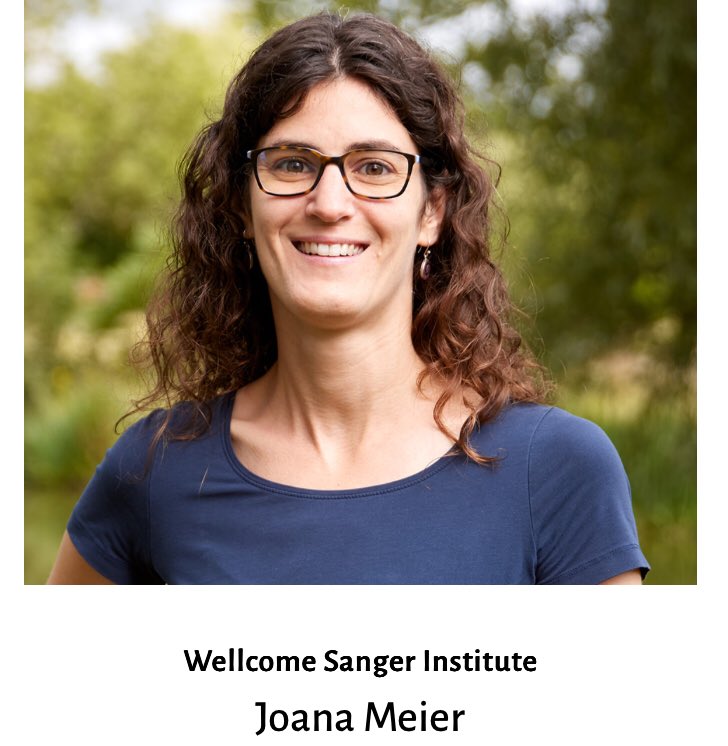 Sombradoble tweet media