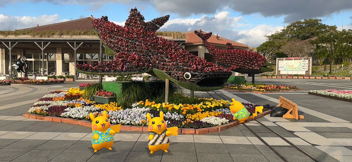 サメさんピカ✨ カエルさんピカピカ✨ #シャツピカ隊ワールドツアー