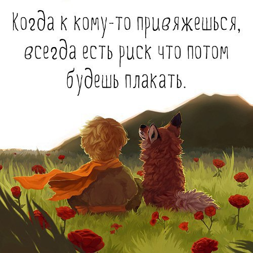 yawantt's tweet photo. ...чтобы не было разочарований https://t.co/7MgFoXxx3M