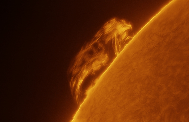 本日の太陽です。
東北東附近に出現したプロミネンスです。
久しぶりに望遠鏡を覗きました。綺麗なプロミネンスでした。
2026.01.23 00:43 UT (09:43 JST)
200mmF12 x2.5, Daystar QuantumSE 0.28Å, ASI-174MM, Pentax MS-5 NS5000